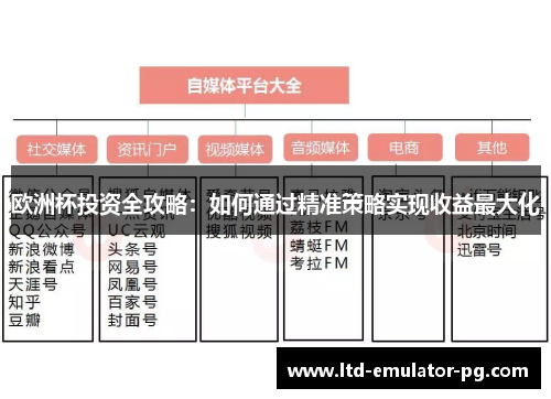 欧洲杯投资全攻略:如何通过精准策略实现收益最大化 欧洲杯投资全攻略:如何通过精准策略实现收益最大化