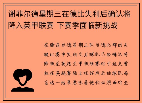 谢菲尔德星期三在德比失利后确认将降入英甲联赛 下赛季面临新挑战